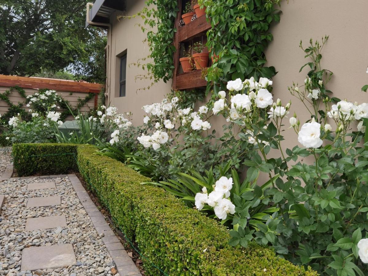 Bella Rosa Bed and Breakfast Potchefstroom Buitenkant foto