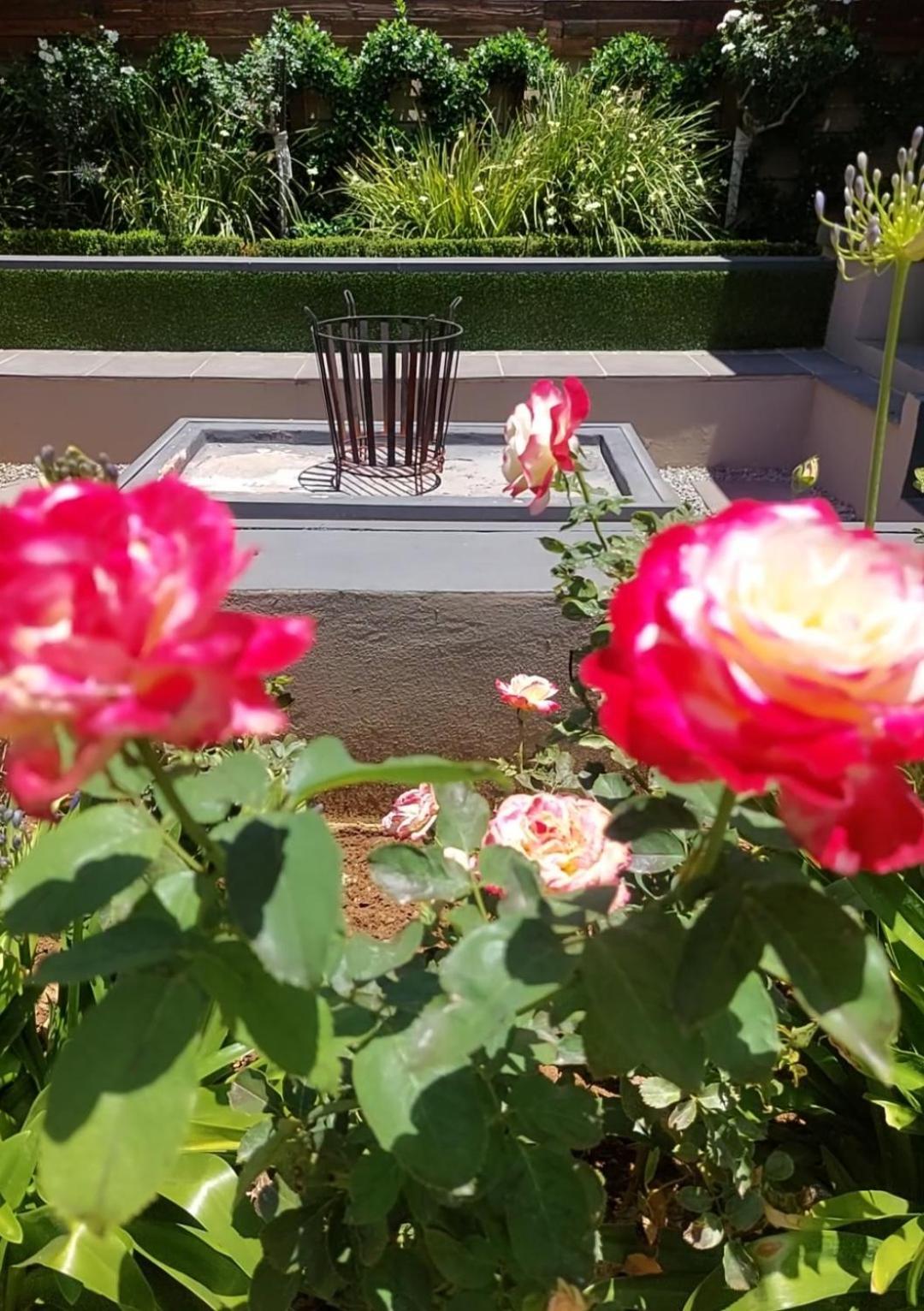 Bella Rosa Bed and Breakfast Potchefstroom Buitenkant foto