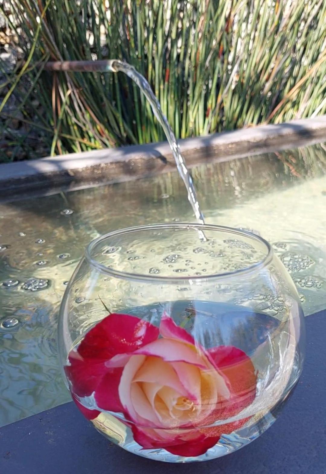 Bella Rosa Bed and Breakfast Potchefstroom Buitenkant foto